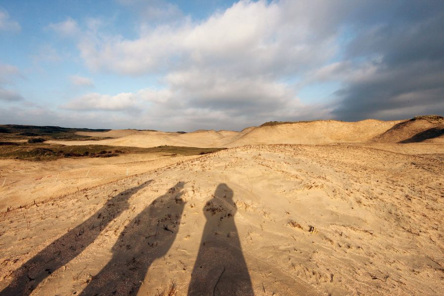 Offene Dünenlandschaft im PWN-Gebiet bei Heemskerk