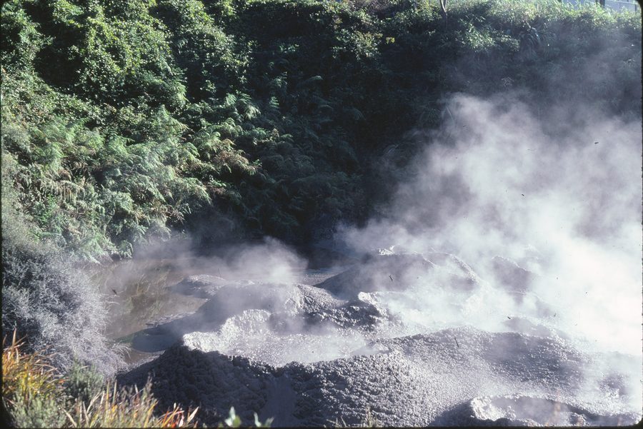 Geothermal geprägte Landschaft im Gebiet von Rotorua in Neuseeland.