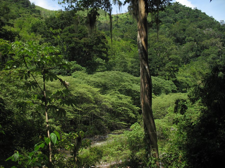 Berglandschaft der Sierra de Agalta in Olancho, Honduras
