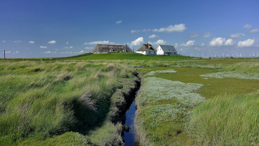Landschaft der Hamburger Hallig im Nationalpark Wattenmeer