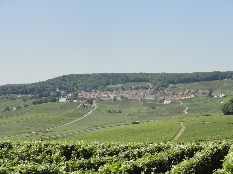 Vue d'ensemble du village d'Hautvillers, sur la Montagne de Reims, depuis le point de vue aménagé entre Champillon et Dizy