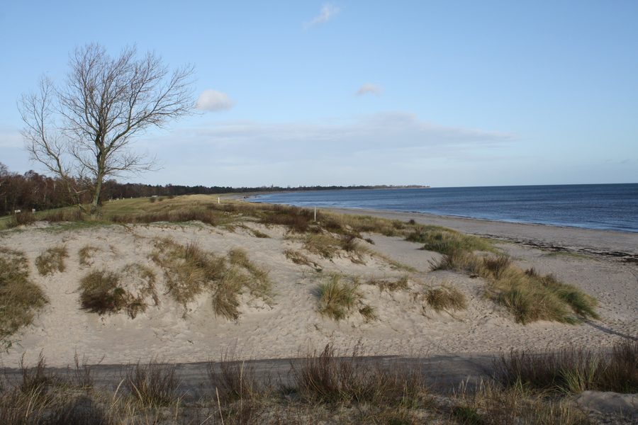 Strand und Sanddünen bei Marielyst auf Falster, Dänemark