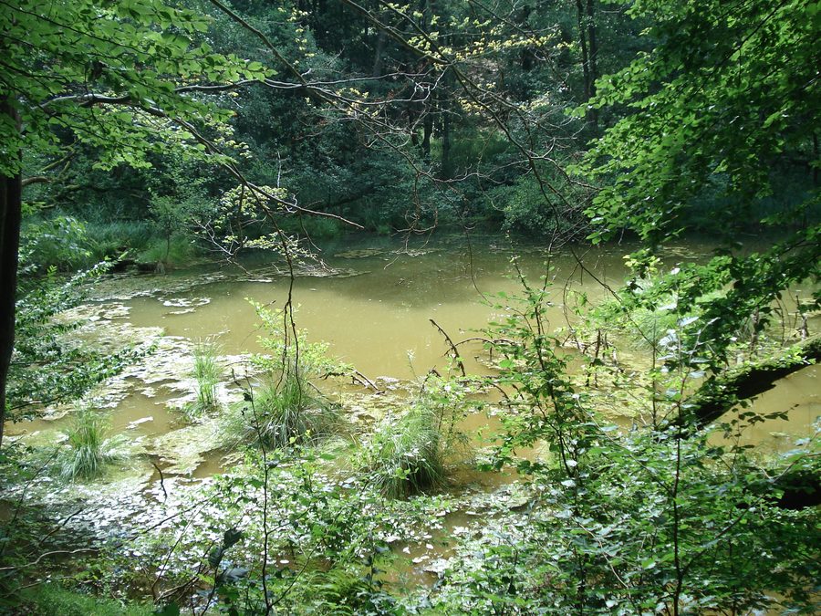 Das Teufelsloch bei Osterode am Harz