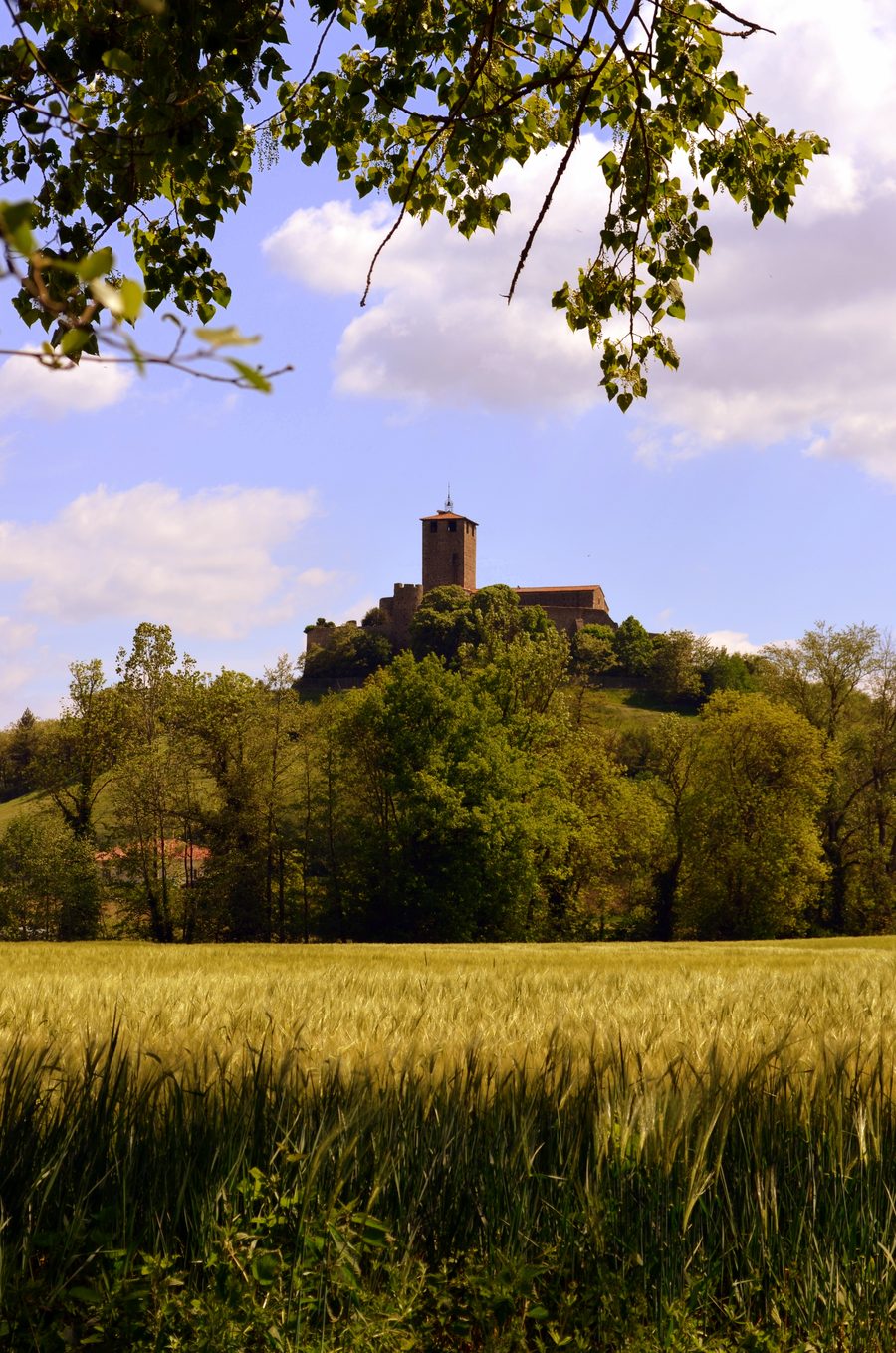 Prieuré de Montverdun vu depuis la plaine