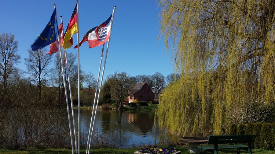 Dorfteich in Malkwitz bei Malente in Schleswig-Holstein