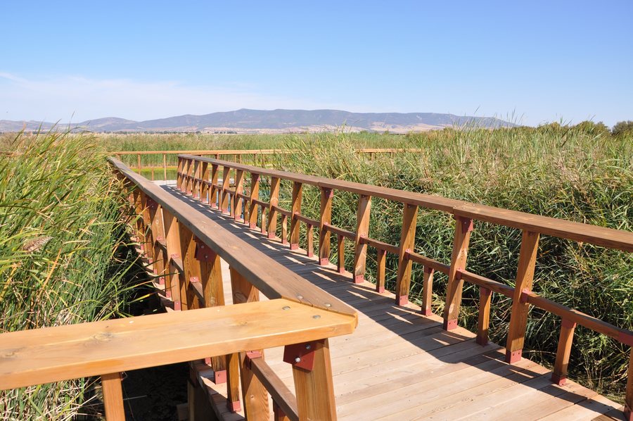 File:Tablas de Daimiel 2.jpg