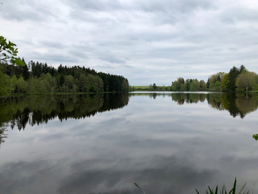 Engelsrieder See bei Rott, vom Ostufer gesehen