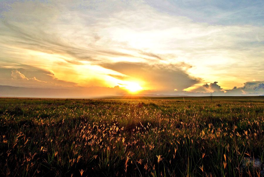 La Gran Sabana im Bundesstaat Bolívar