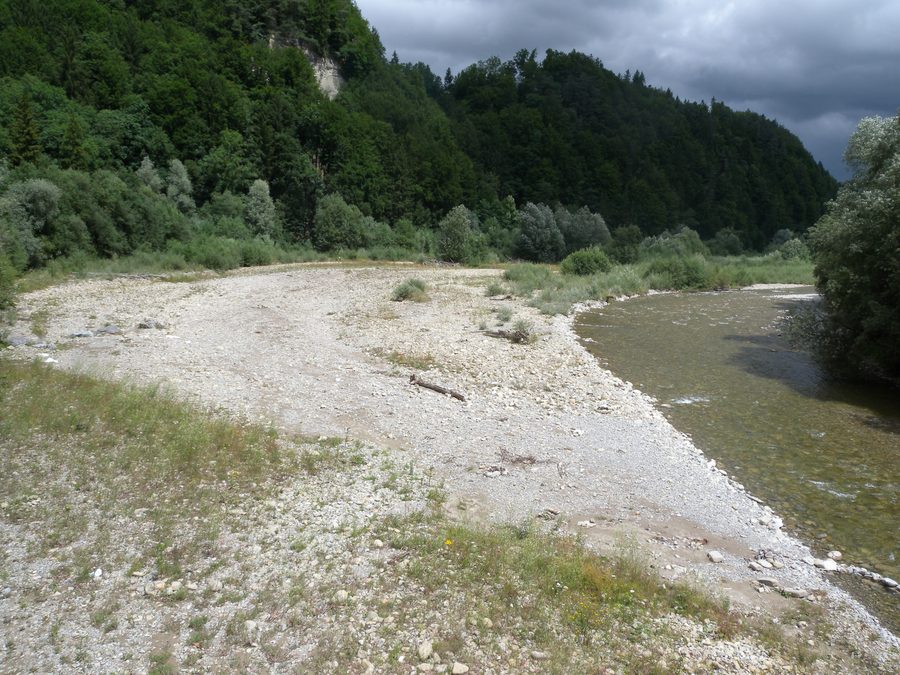 Auenlandschaft der Sense bei Schwarzenburg an der Sodbachbrücke