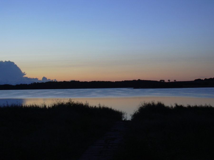Sonnenaufgang am Achterwasser auf Usedom