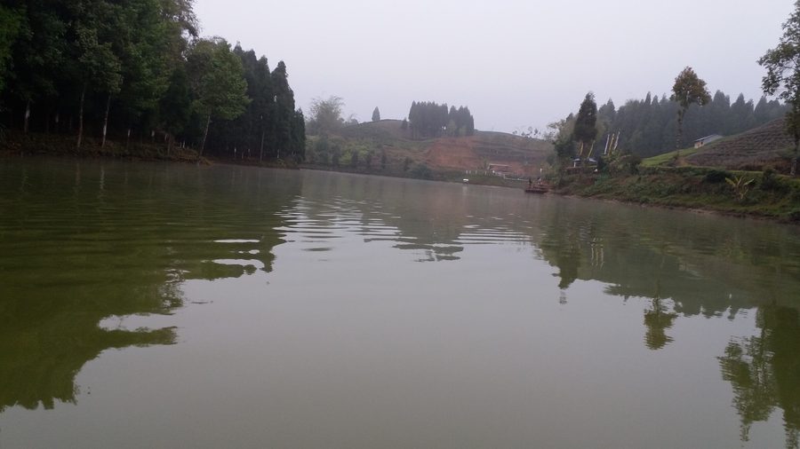 Teegärten in Eastern Nepal