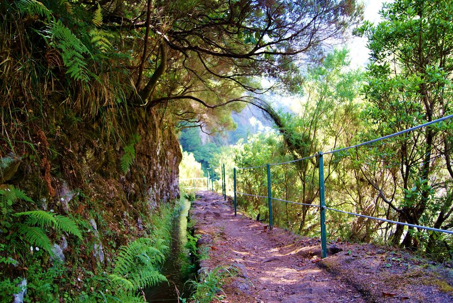 Levada-Weg durch die Landschaft Madeiras