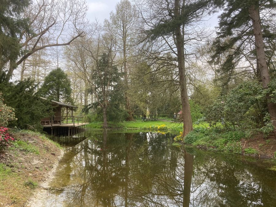 Arboretum Eenrum mit abwechslungsreichen Bäumen, Rhododendren und Gartenwegen