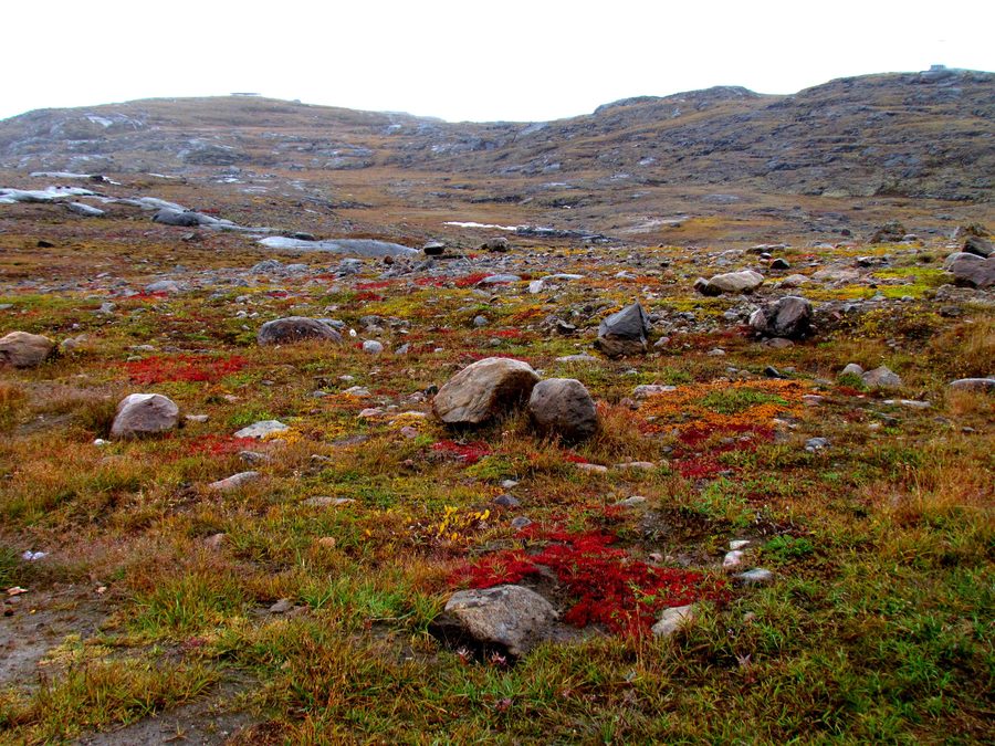 Arktische Tundralandschaft in Nunavut