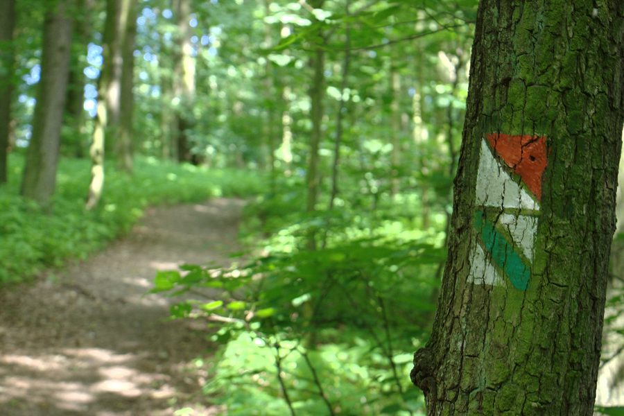 Weg im Schlosspark von Konopiště.