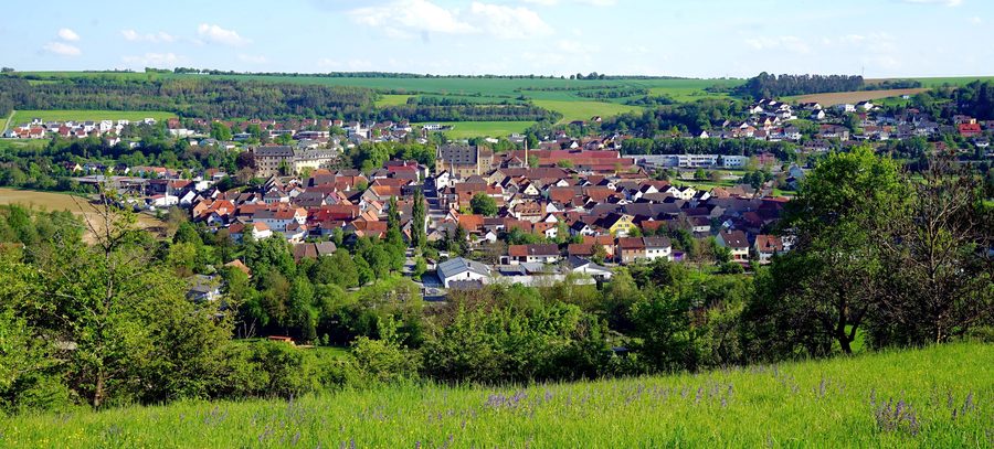 Blick auf Thüngen vom Weinberg aus im Mai 2024