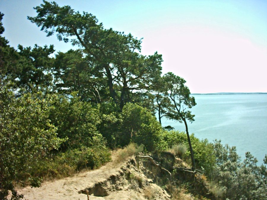 Loddiner Höft am Achterwasser in Loddin auf Usedom