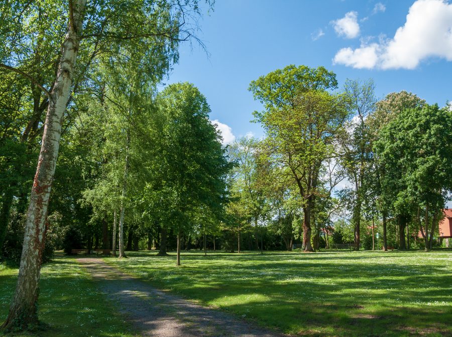 Blick auf den Schlosspark in Bad Rappenau-Bonfeld