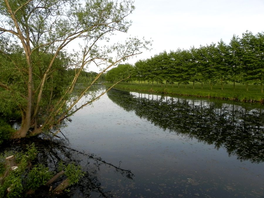 Die Ruhr zwischen Fröndenberg und Menden