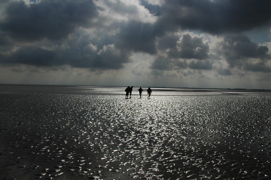 Wattwandern auf Ameland
