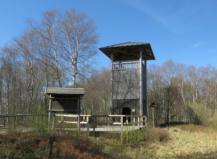 Aussichtsturm im Roten Moor in der Rhön