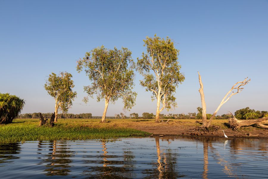 Yellow Water im Kakadu-Nationalpark