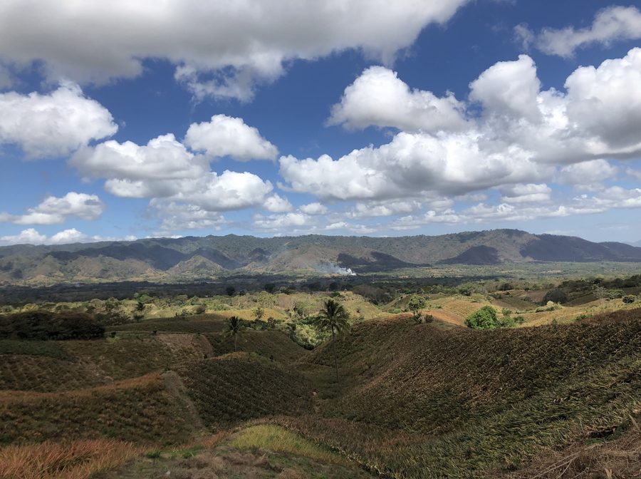 Ananasanbau in der Trockenzeit in der Gemeinde Ticuantepe, Nicaragua