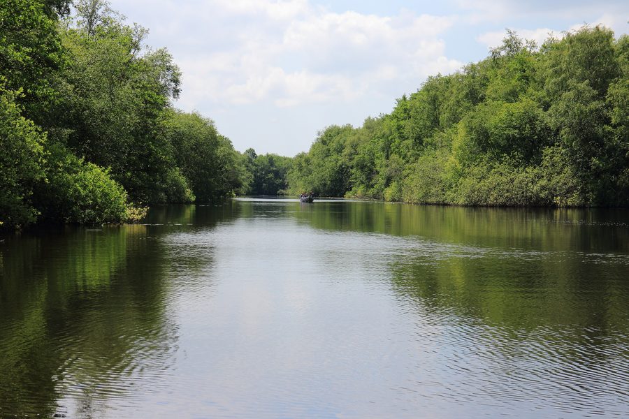 Waterways in De Weerribben-Wieden National Park in the Netherlands