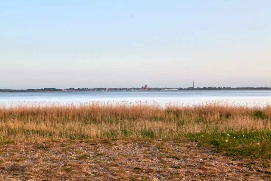Blick vom Zingst auf den Barther Bodden im Nationalpark Vorpommersche Boddenlandschaft