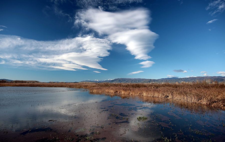 Marshes of Fucecchio with open wetland landscape