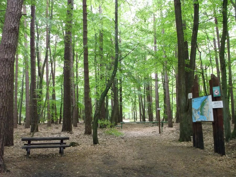 Landschaft im Nationalpark Wolin nahe dem Czajcze-See
