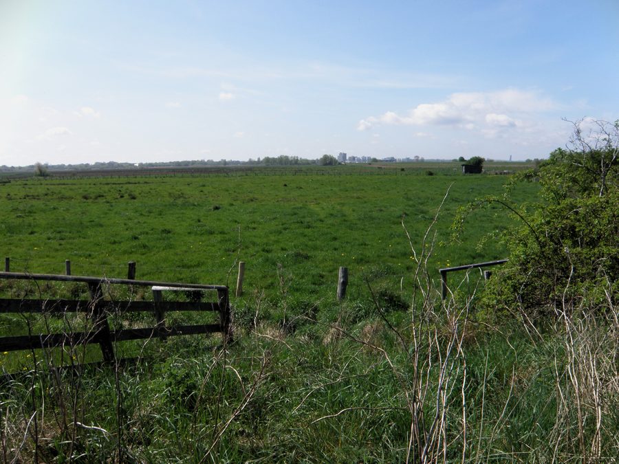 Blick über die Wiesen im Naturschutzgebiet Barsbeker See und Umgebung