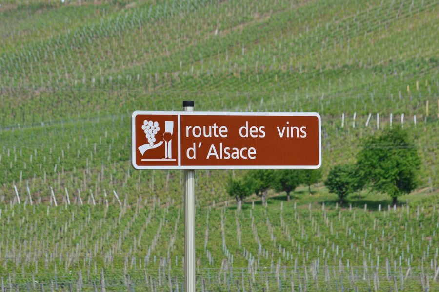 Weinlandschaft im Elsass