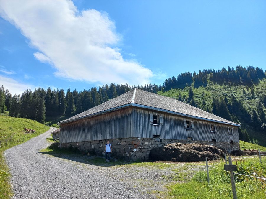 Alpe Gapfohl im Wintersportgebiet Laterns-Gapfohl mit dem Hohen Falben im Hintergrund