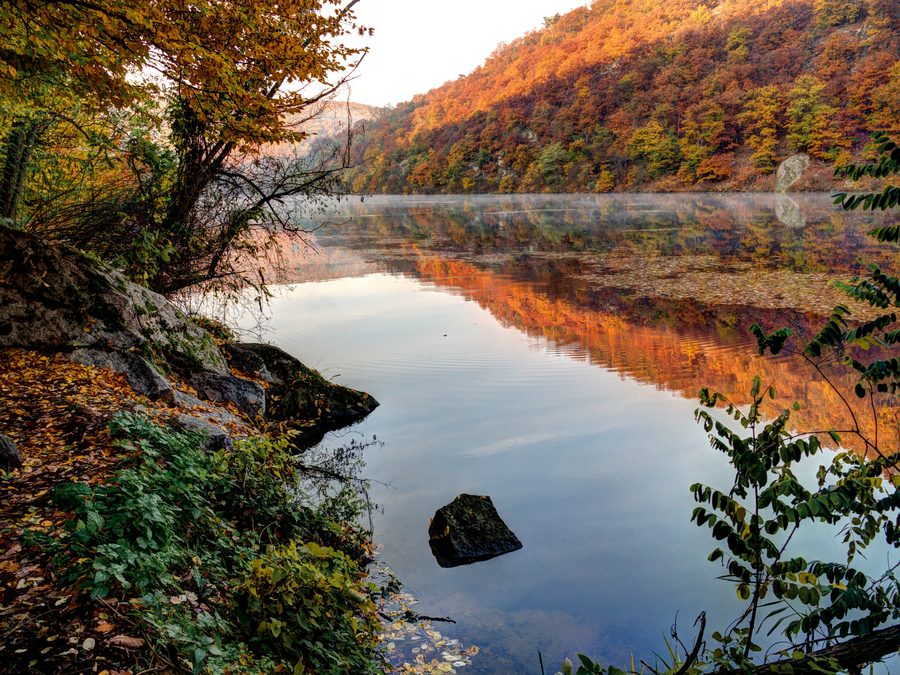 Herbstliche Landschaft im Nationalpark Podyjí mit bewaldetem Flusstal und leichtem Morgennebel