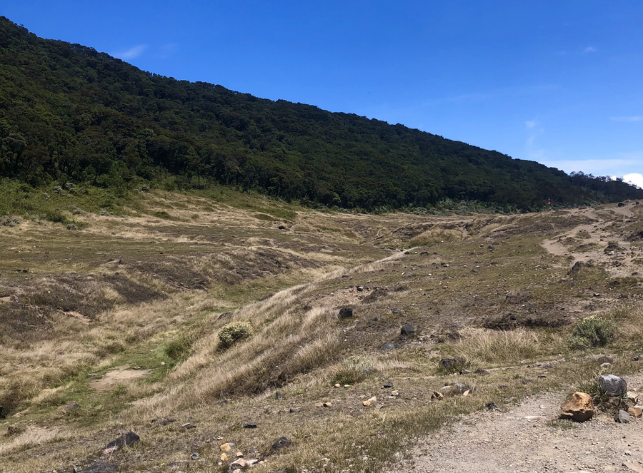 Savannenlandschaft im Gunung-Gede-Pangrango-Nationalpark in Westjava