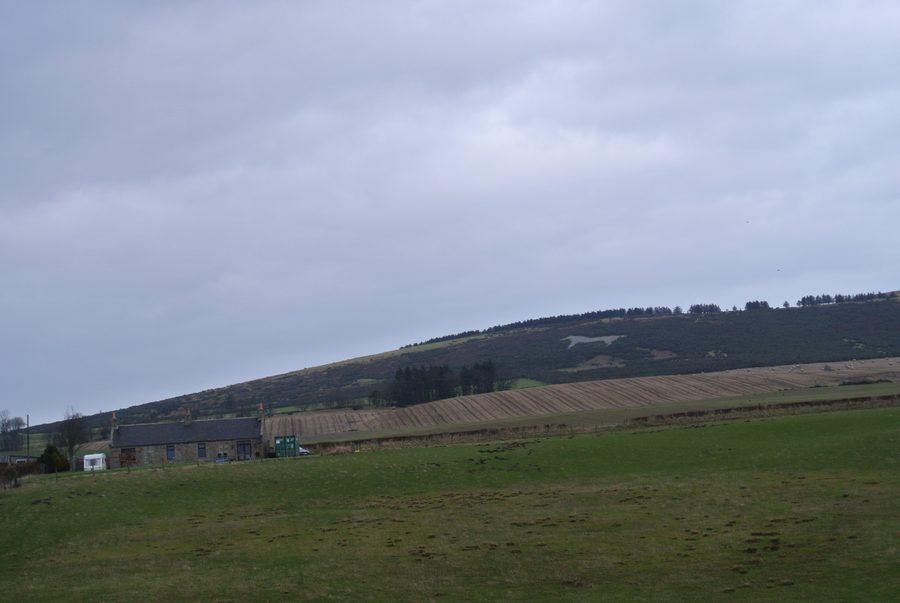 Weißes Pferdebild am Mormond Hill nahe Strichen in Aberdeenshire