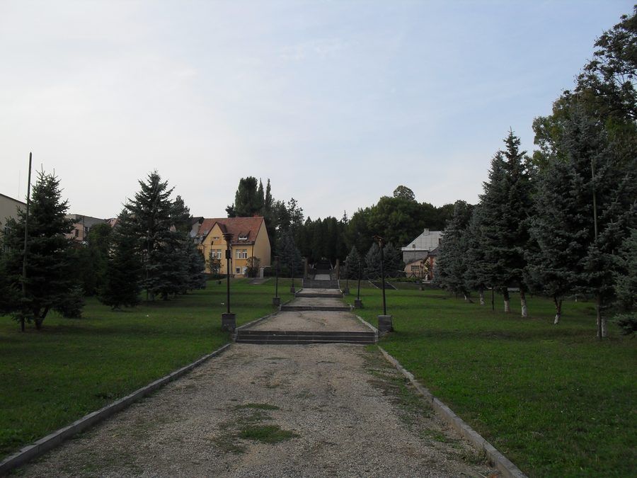 Panorama von Uschgorod in der Oblast Transkarpatien, Ukraine