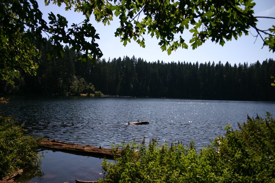 Battle Ground Lake State Park mit Wald und See bei Battle Ground, Washington
