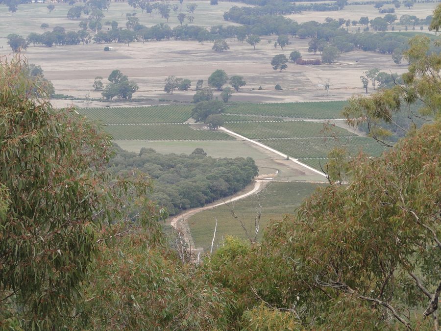 Weinberge bei Avoca in Victoria mit Blick von den Pyrenees Ranges