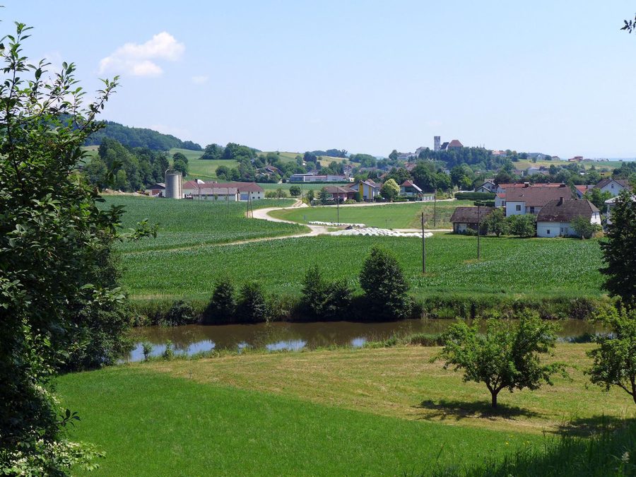 Blick über den Tobrabach auf Arbing mit Kirchturm und Schlossgebäuden