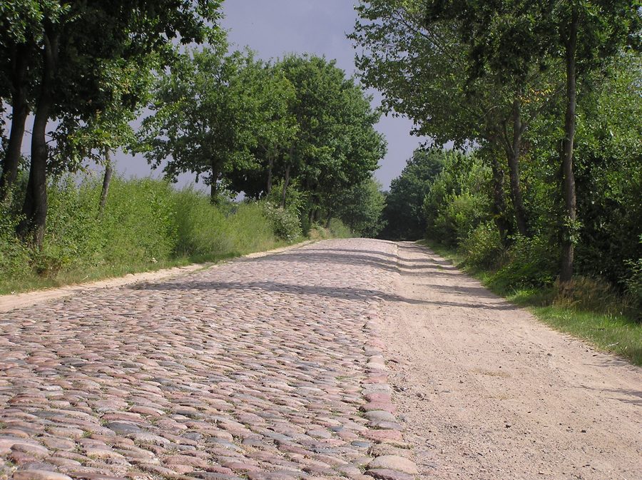 Sommerweg zwischen Braak und Siek in Stormarn