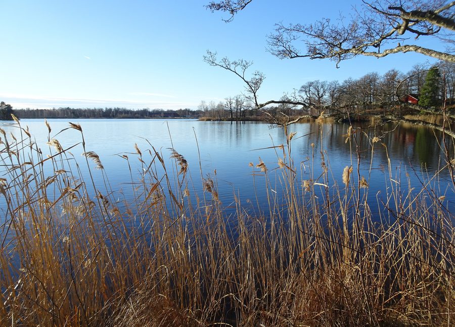 Sjön Båven vid riksväg 57