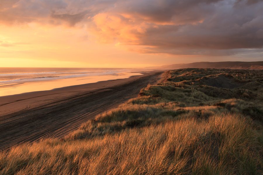 Sanddünen in Port Waikato bei bewölktem Abendhimmel