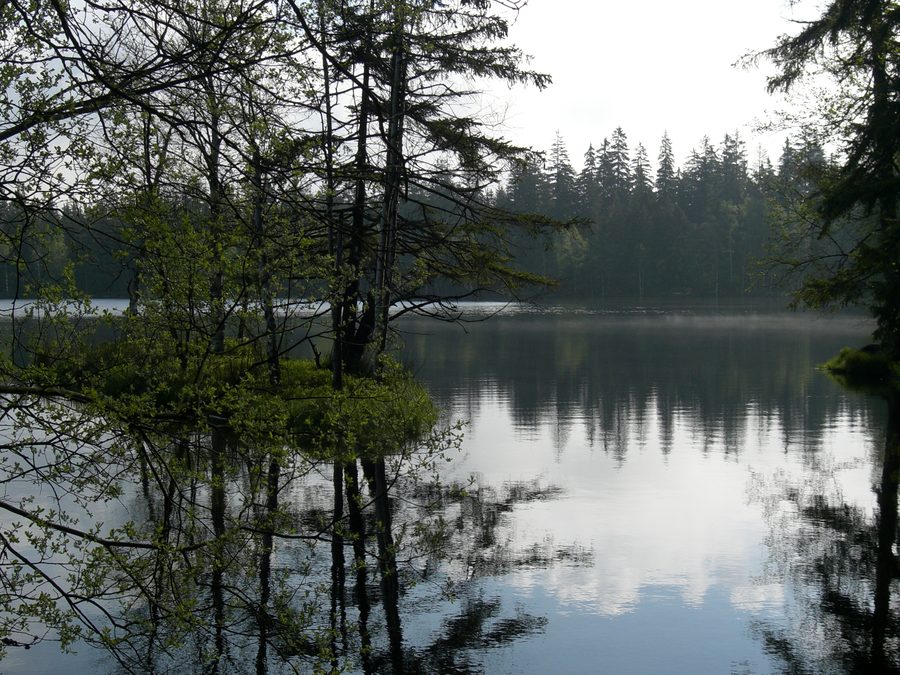 Kladský-Teich bei Marienbad im Kaiserwald