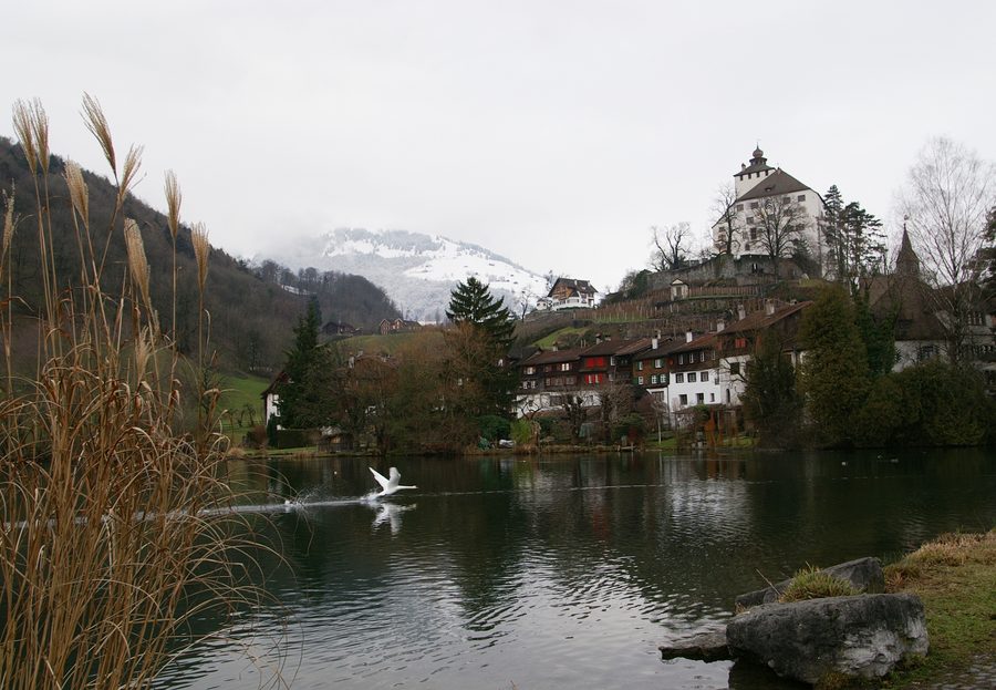 Werdenberg mit Schloss und Werdenbergersee.