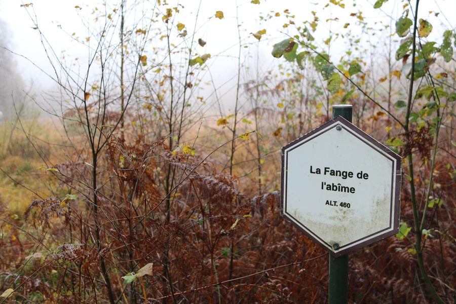 Bewaldete Landschaft im Naturschutzgebiet Fange de l’Abîme am Massif de la Croix-Scaille
