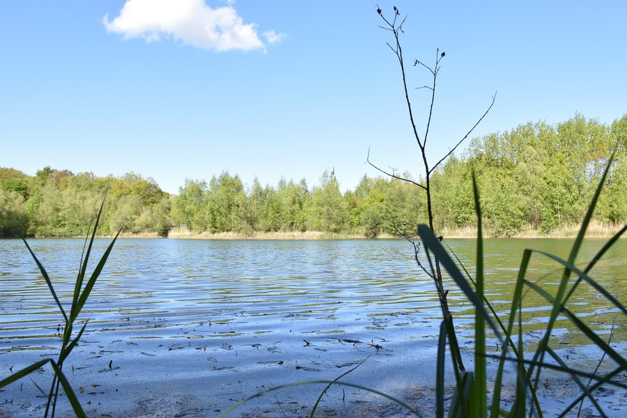 Kreuzkamper Seenlandschaft mit See und umliegenden Wäldern