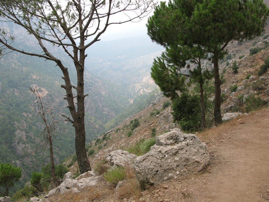 Straße zur Klosterlandschaft von Qozhaya im Qadisha-Tal