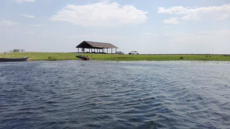 Landschaft an der Küste der Esteros del Iberá in Corrientes, Argentinien